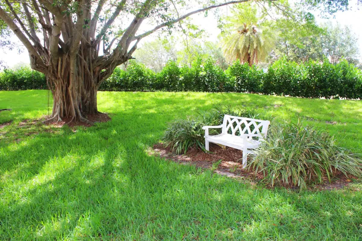 Olympus Recovery LLC. - Thumbnail 7