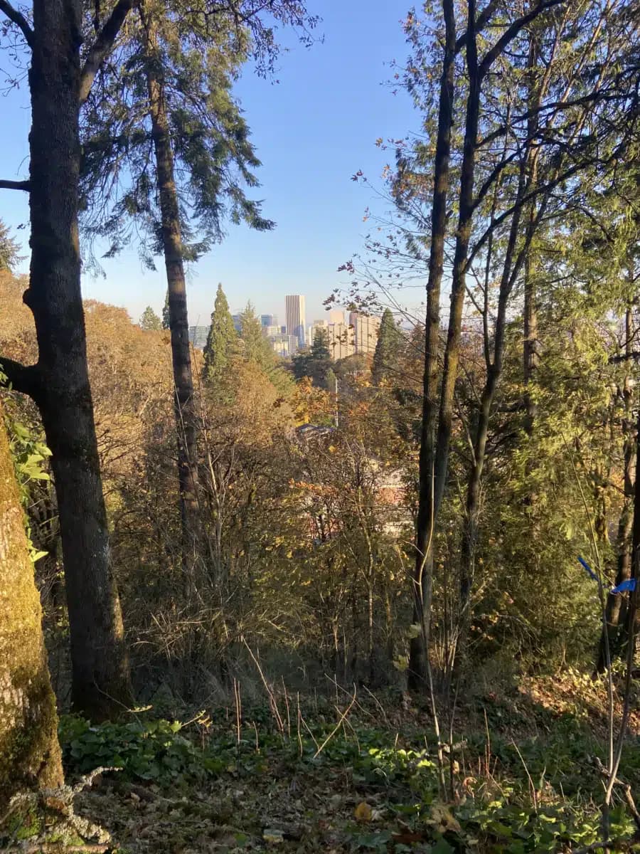 Opiate Treatment Program - Thumbnail 8