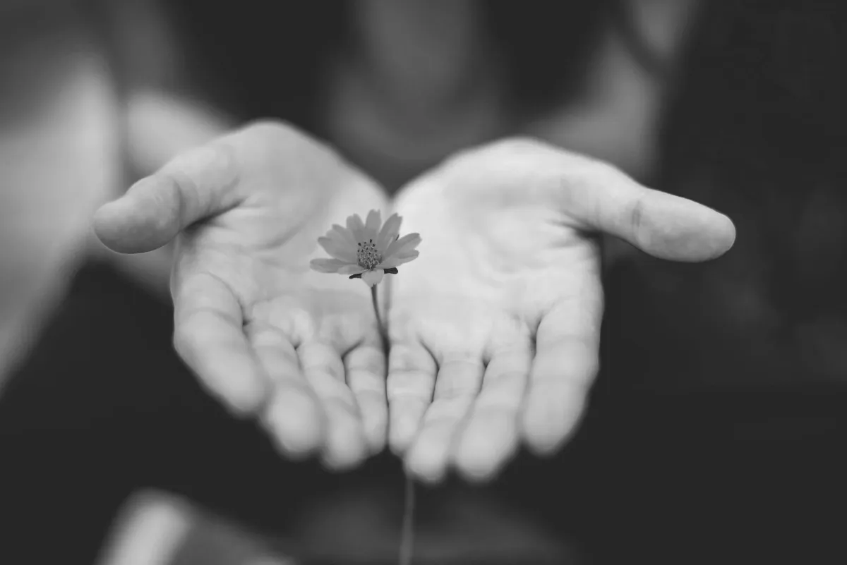 Opportunity for Hope Clinic - Thumbnail 3