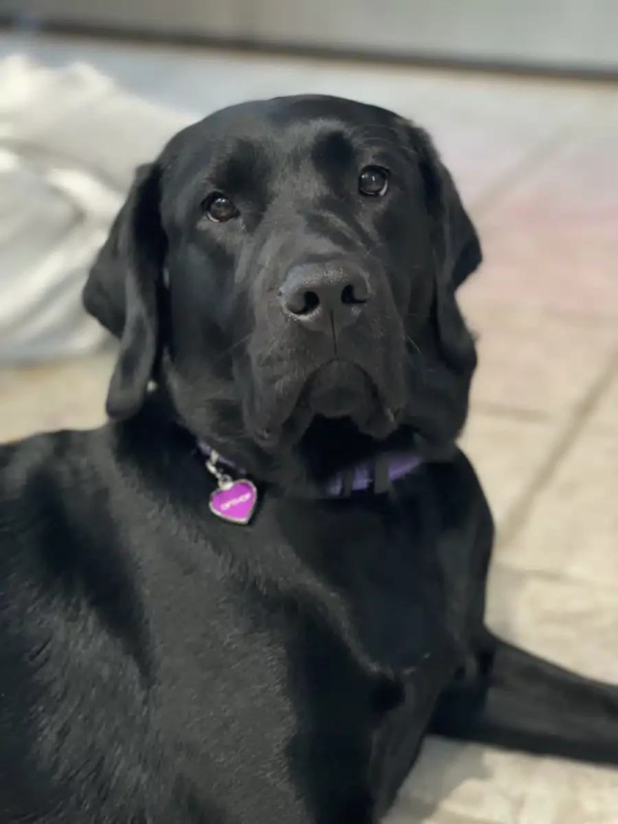 Opthof Center for Psychotherapy LLC - Thumbnail 2