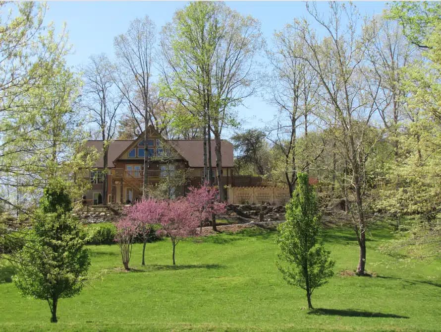 Pavillon - Thumbnail 4