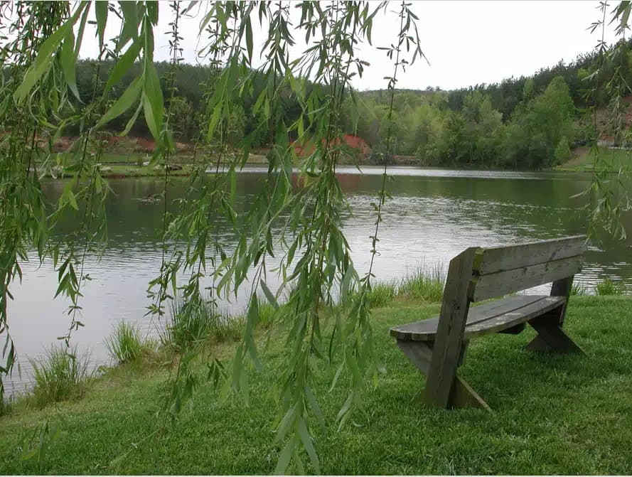 Pavillon - Thumbnail 9