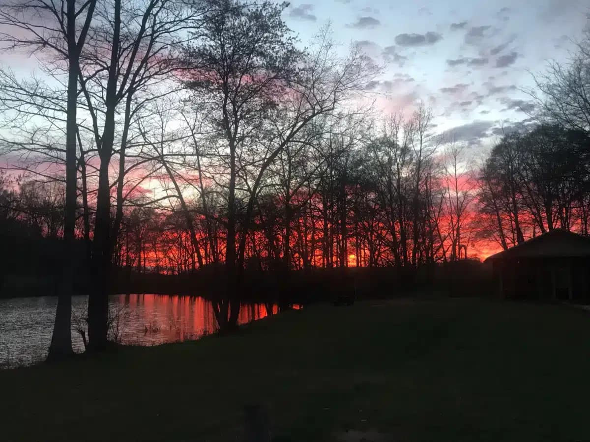 Penfield Addiction Ministries - Thumbnail 10