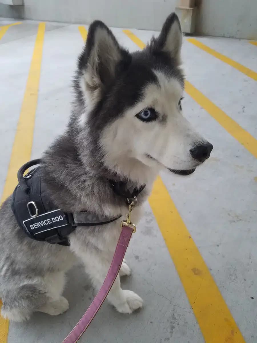 Phoenix VA Healthcare System - Thumbnail 9