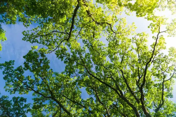 Ponessa Behavioral Health - Thumbnail 4