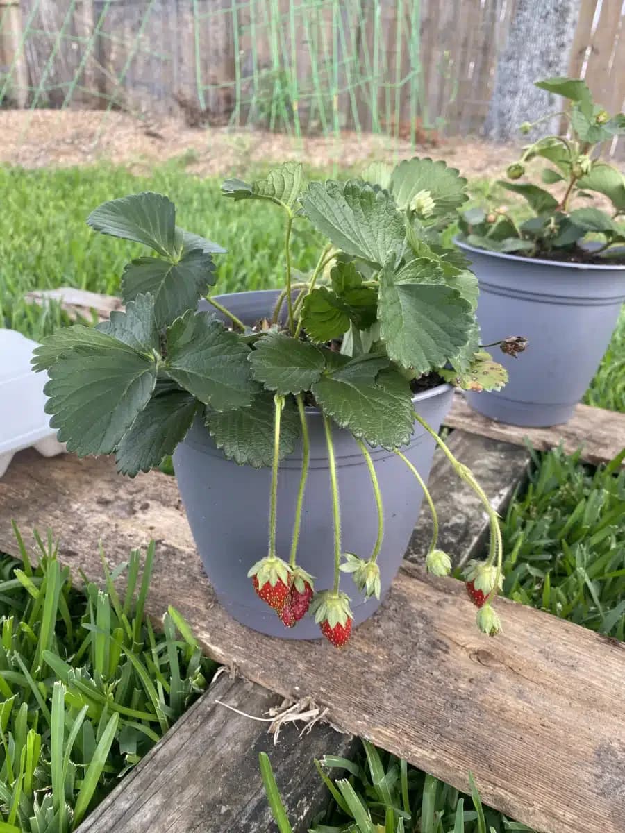 Positive Recovery LLC - Thumbnail 6