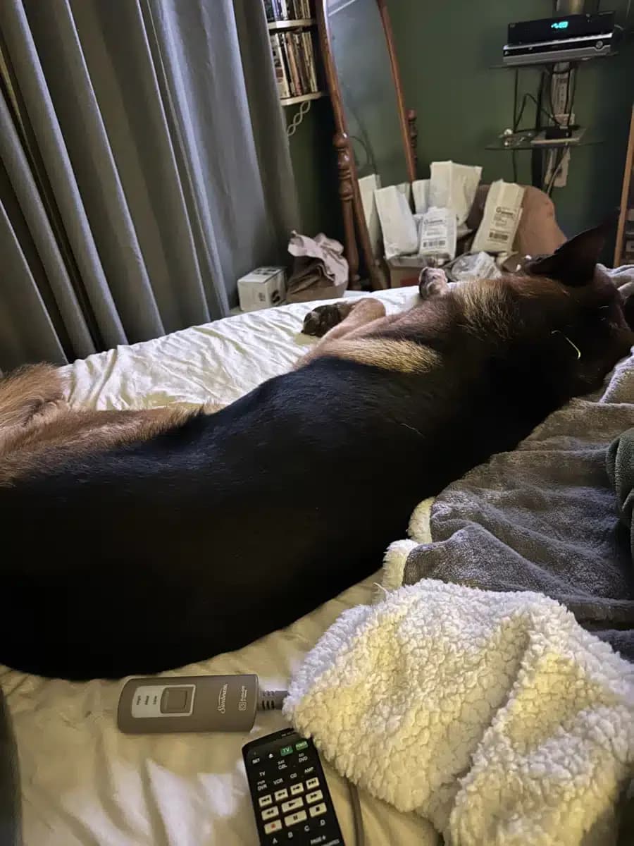 Positive Steps Inc - Thumbnail 7