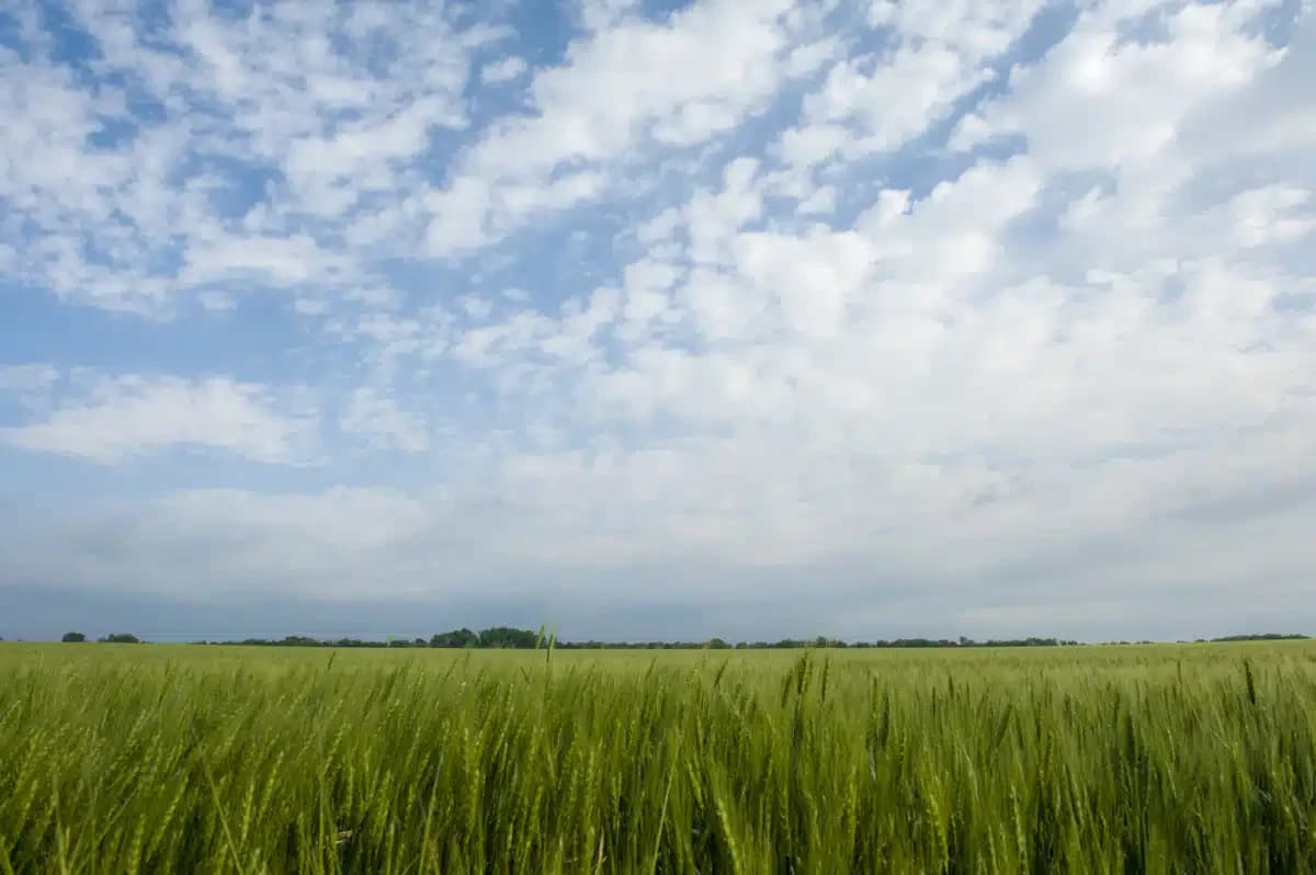 Prairie View Inc - Thumbnail 3