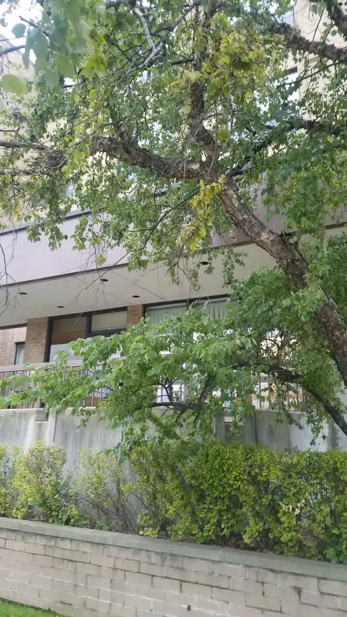 Prentice Place - Thumbnail 3