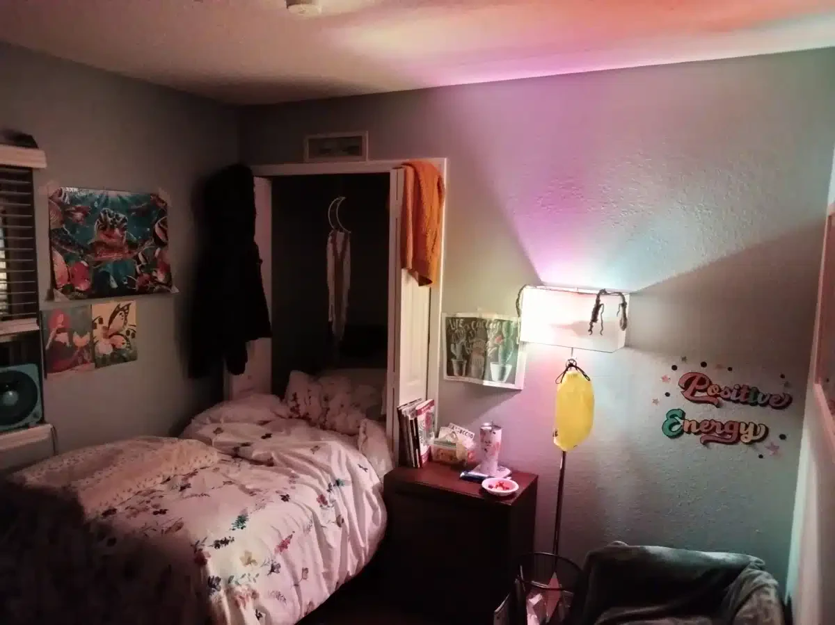 Promises Five Palms - Thumbnail 10