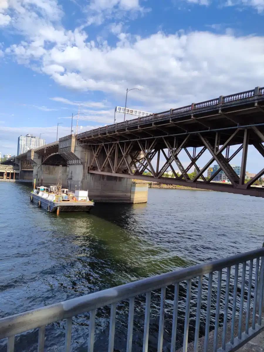 Puentes - Thumbnail 6