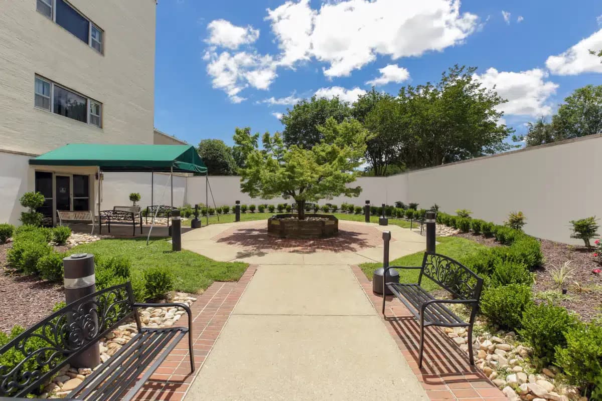 Pyramid Healthcare - Thumbnail 3