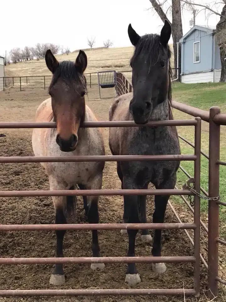 RMTC LLC - Thumbnail 8