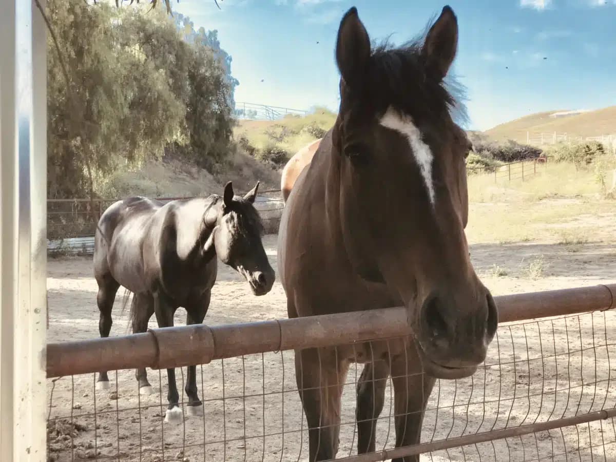 Rancho Milagro Recovery Inc - Thumbnail 9