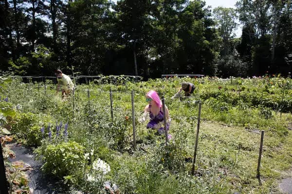 Recovering Champions LLC - Thumbnail 5