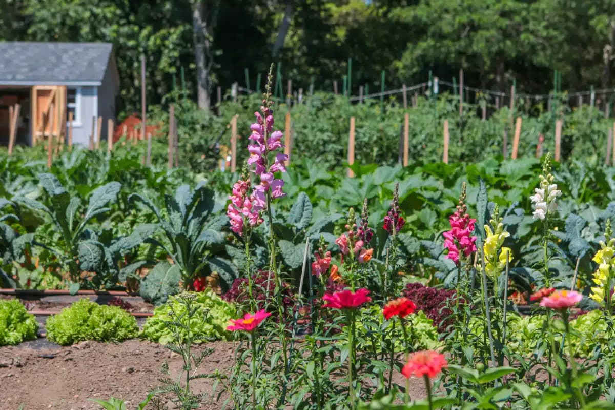 Recovering Champions LLC - Thumbnail 6