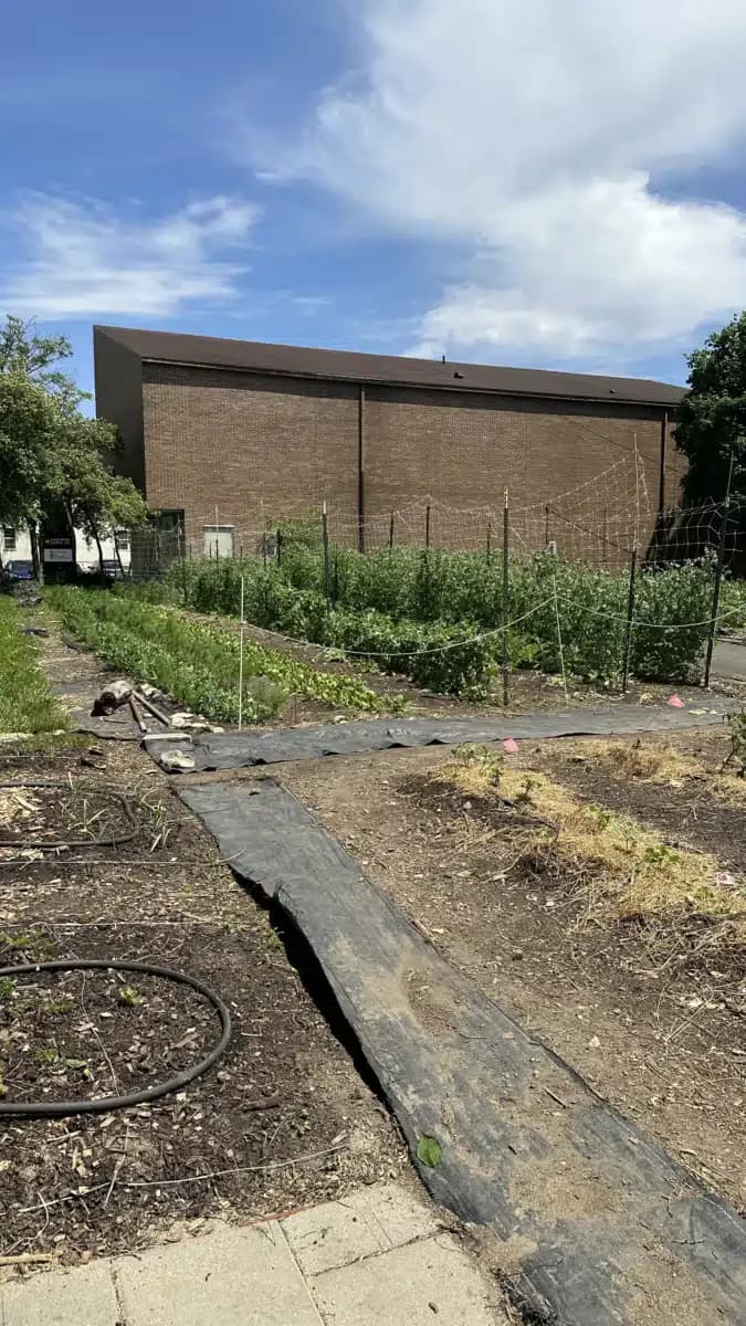 Relentless Recovery - Thumbnail 6