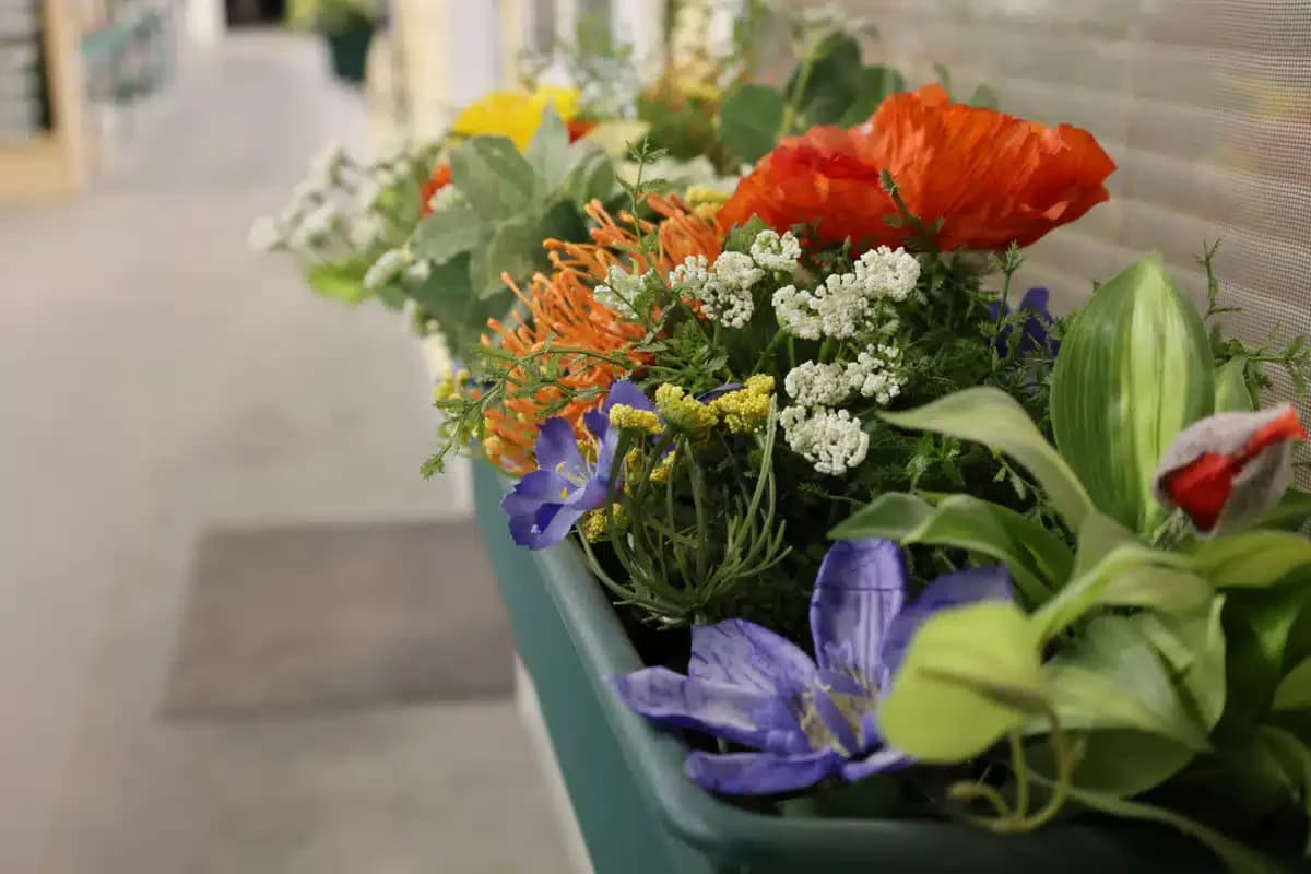 Restore House - Thumbnail 3