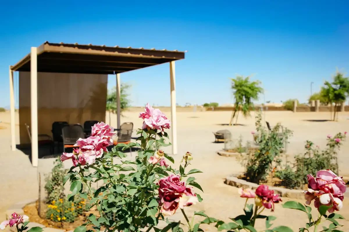 River Source Treatment Center - Thumbnail 3