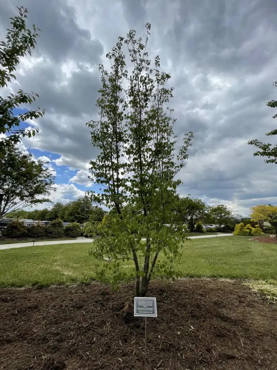 Rockingham Memorial Hospital - Thumbnail 4