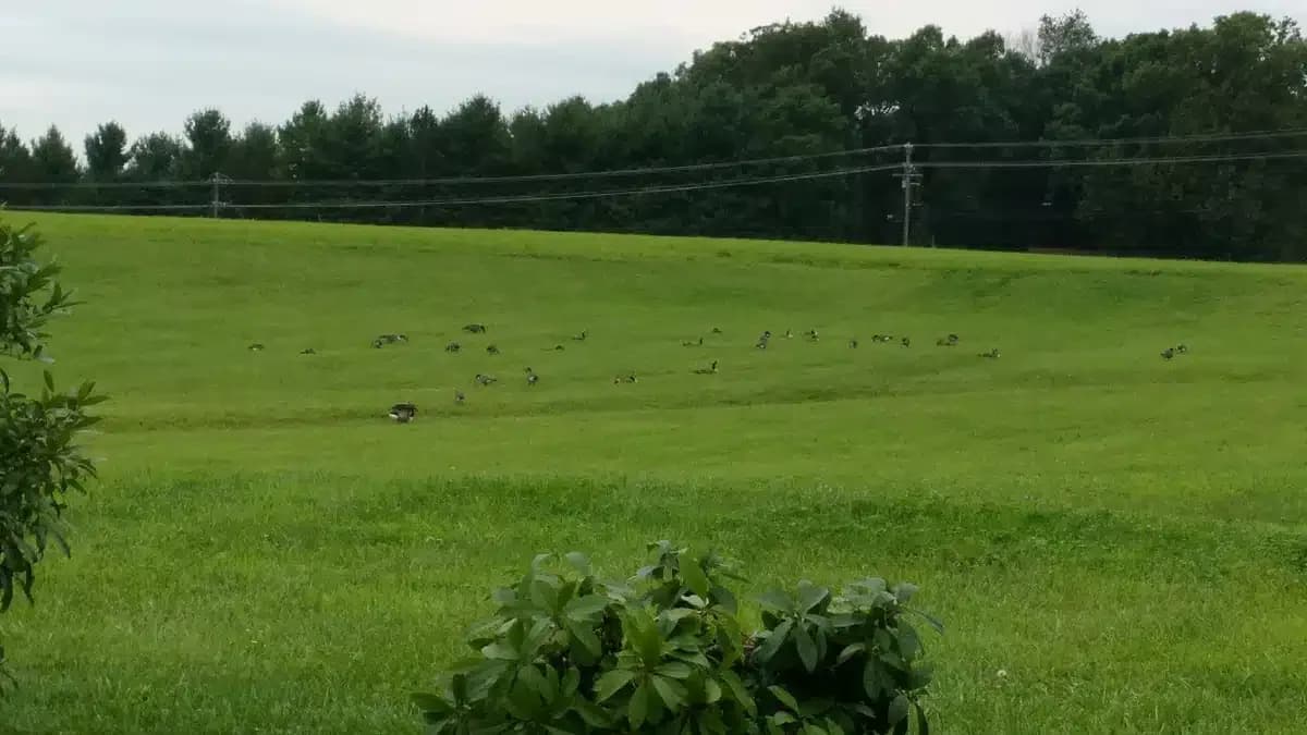 Rockingham Memorial Hospital - Thumbnail 5