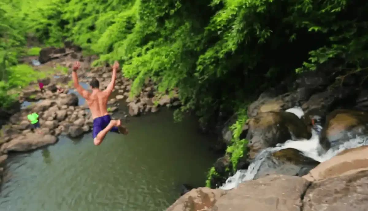 S2L Recovery - Thumbnail 10