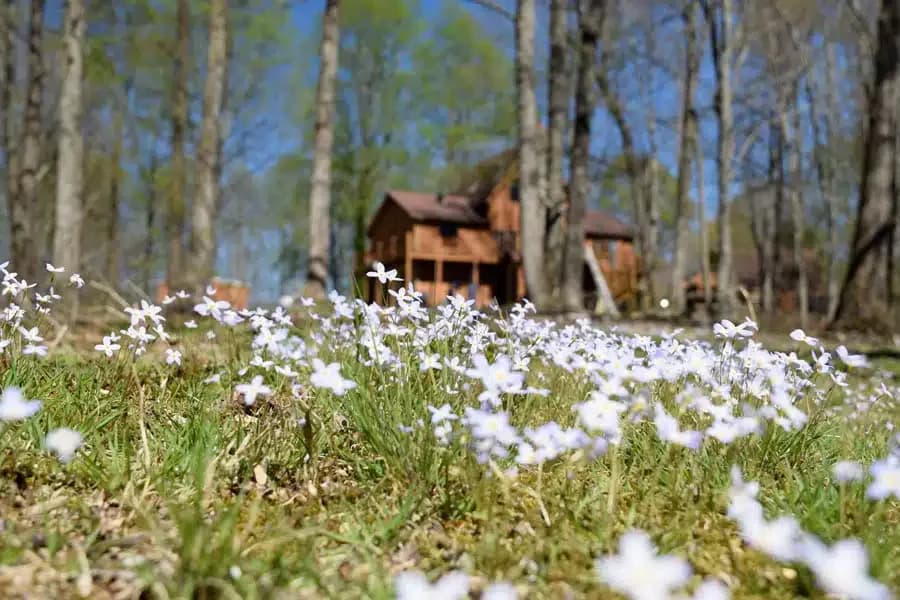 S2L Recovery - Thumbnail 4