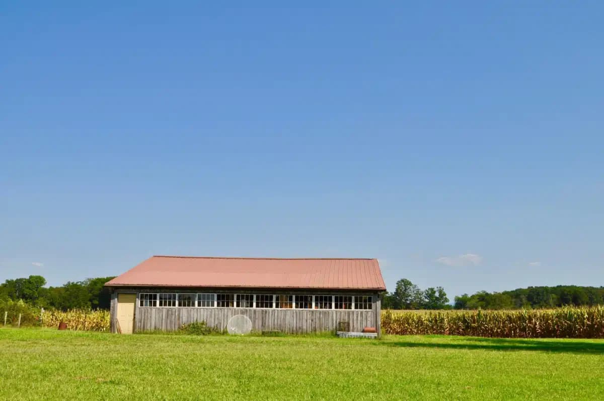 S2L Recovery - Thumbnail 7