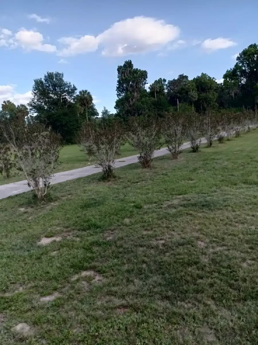 SMA Adult Residential - Thumbnail 4