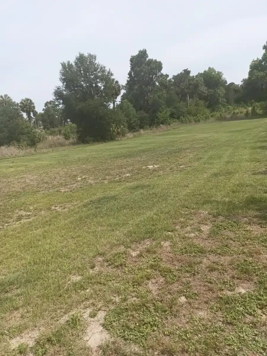 SMA Adult Residential - Thumbnail 8