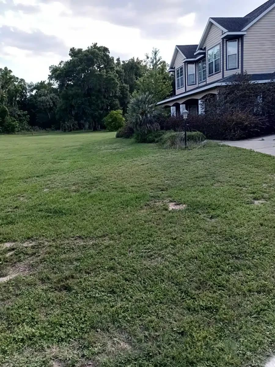 SMA Crisis - Thumbnail 3