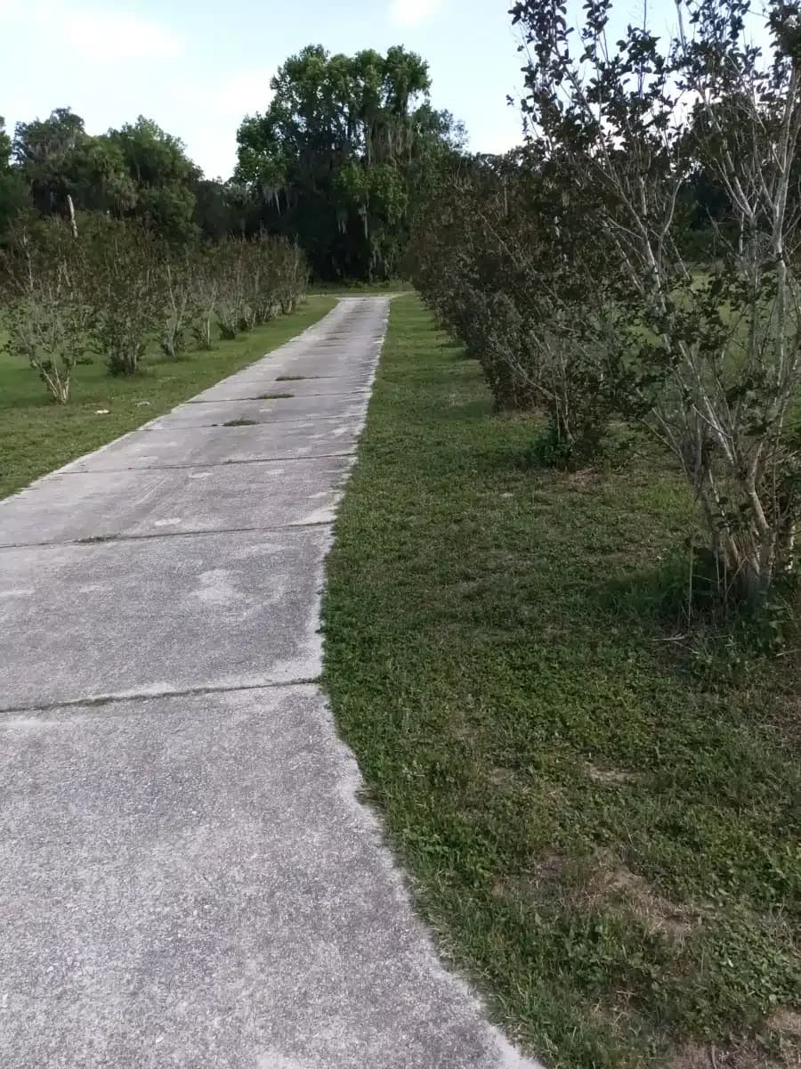 SMA Crisis - Thumbnail 6