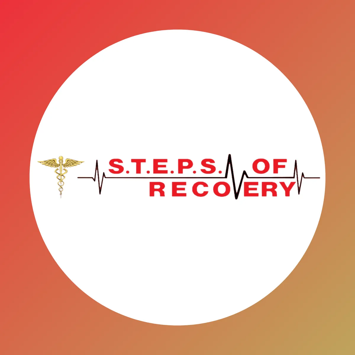 STEPS of Recovery - Thumbnail 2