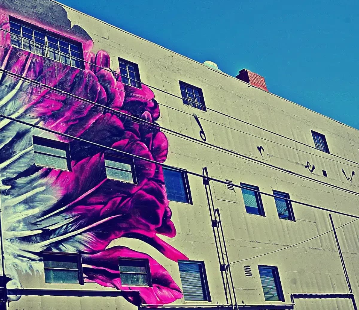 Sacramento Native American - Thumbnail 8