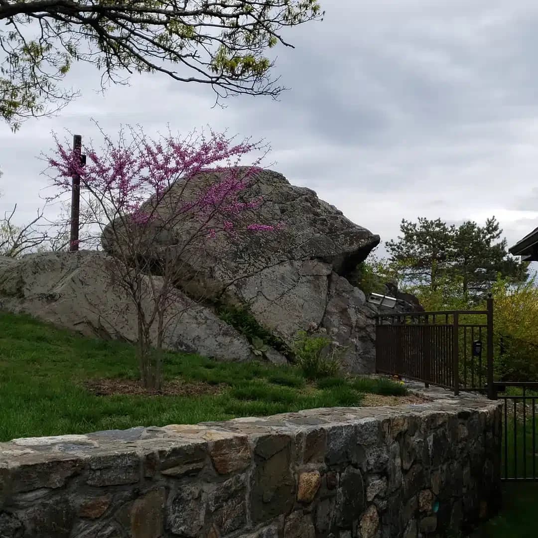 Saint Anthonys - Thumbnail 2