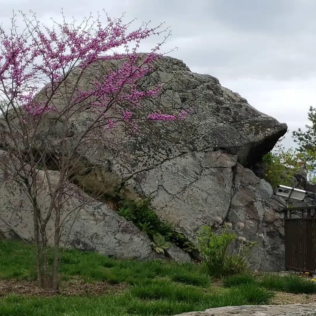 Saint Christophers Inn - Thumbnail 5