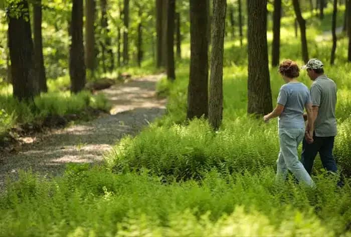 Saint Joseph Institute - Thumbnail 10