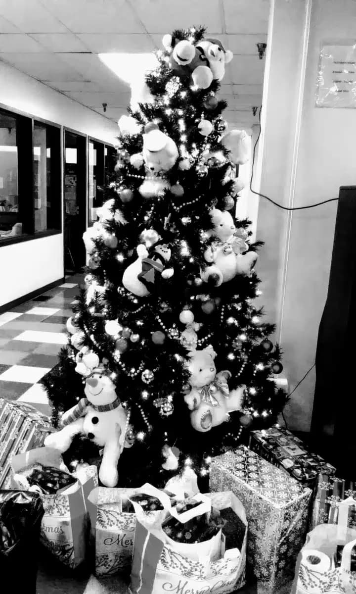 Saint Patrick Center - Thumbnail 5