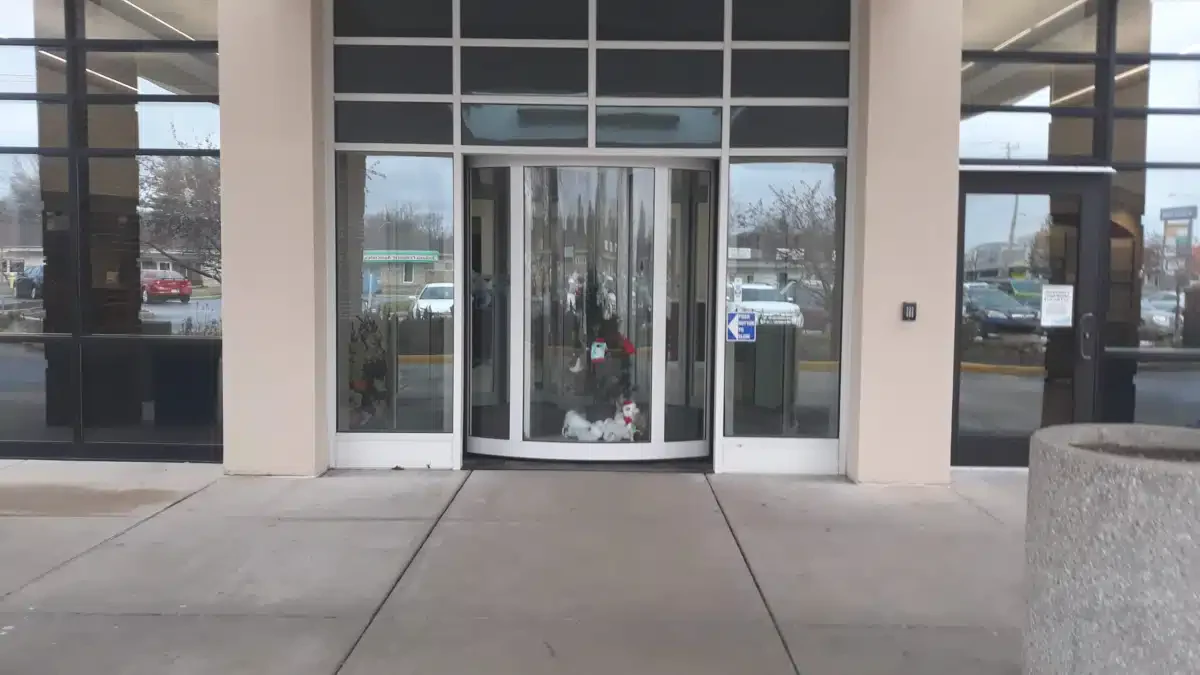 Saint Vincent Kokomo - Thumbnail 8