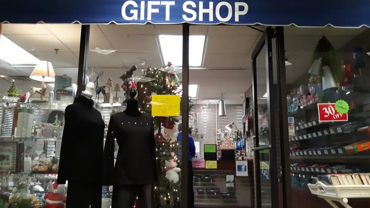 Saint Vincent Kokomo - Thumbnail 9