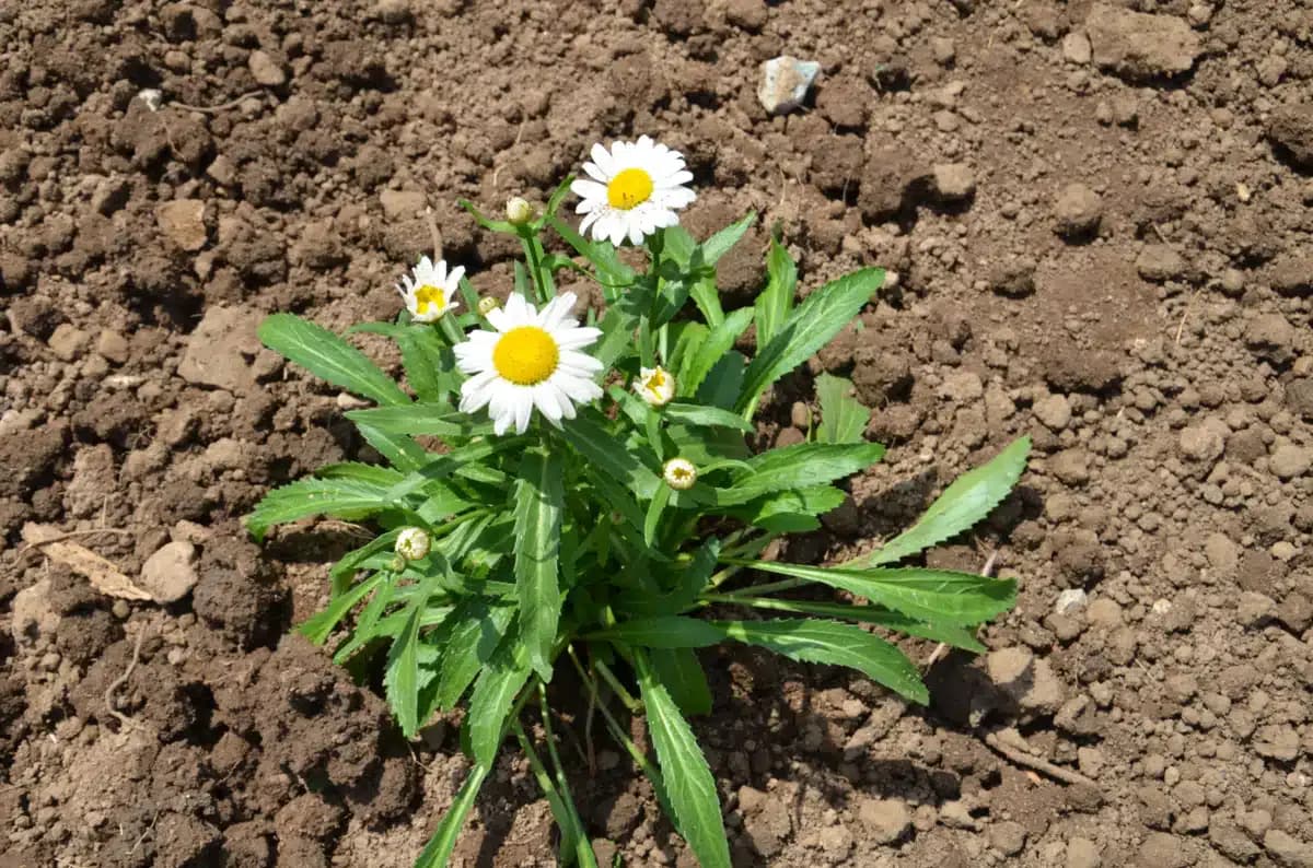 Salvation Army Harbor Light Center - Thumbnail 10