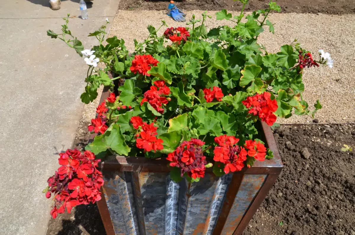 Salvation Army Harbor Light Center - Thumbnail 9