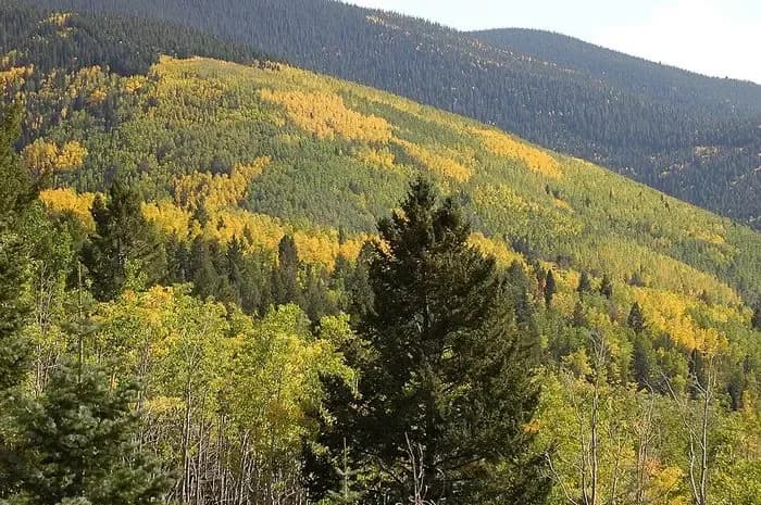 Santa Fe Psychotherapy and Consulting - Thumbnail 2