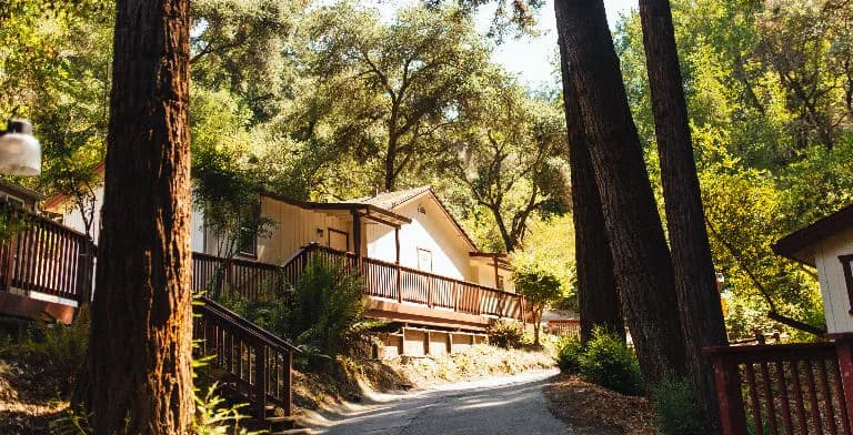 Scotts Valley Outpatient - Thumbnail 3