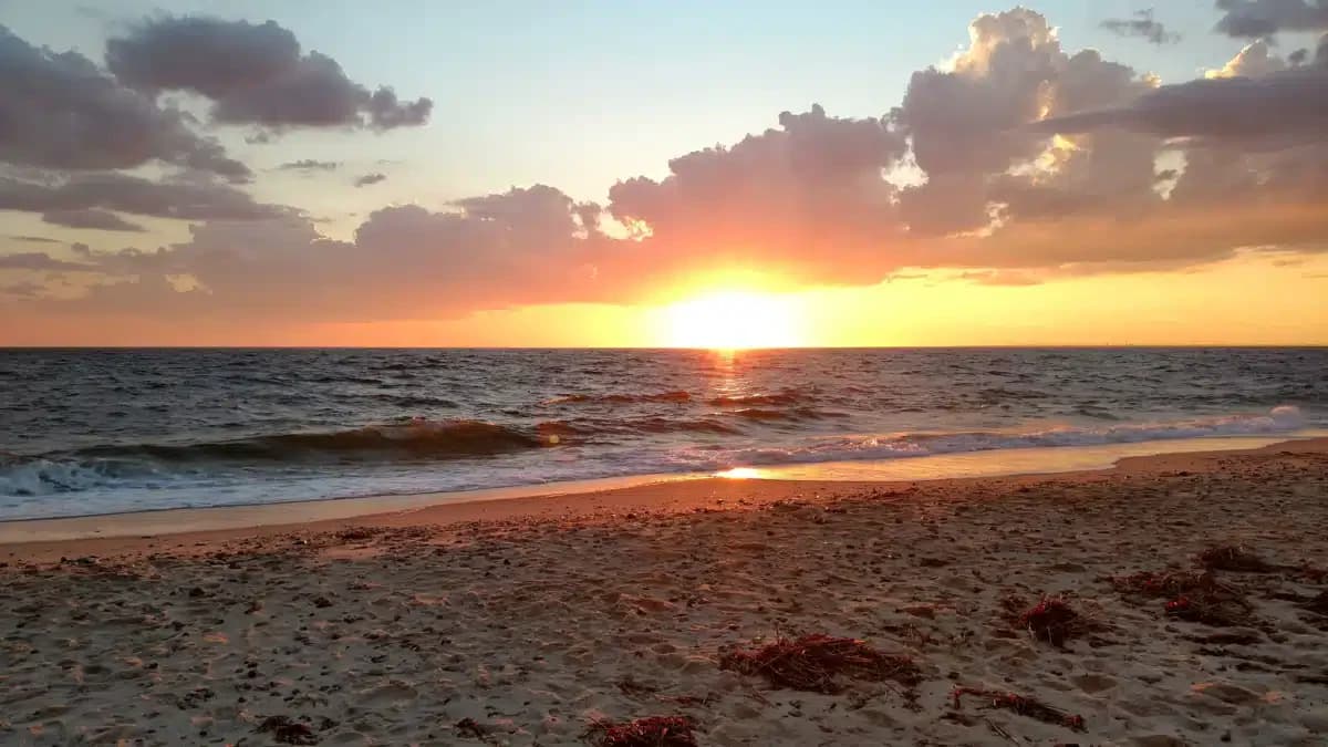 Seabrook Cherry Hill - Thumbnail 2