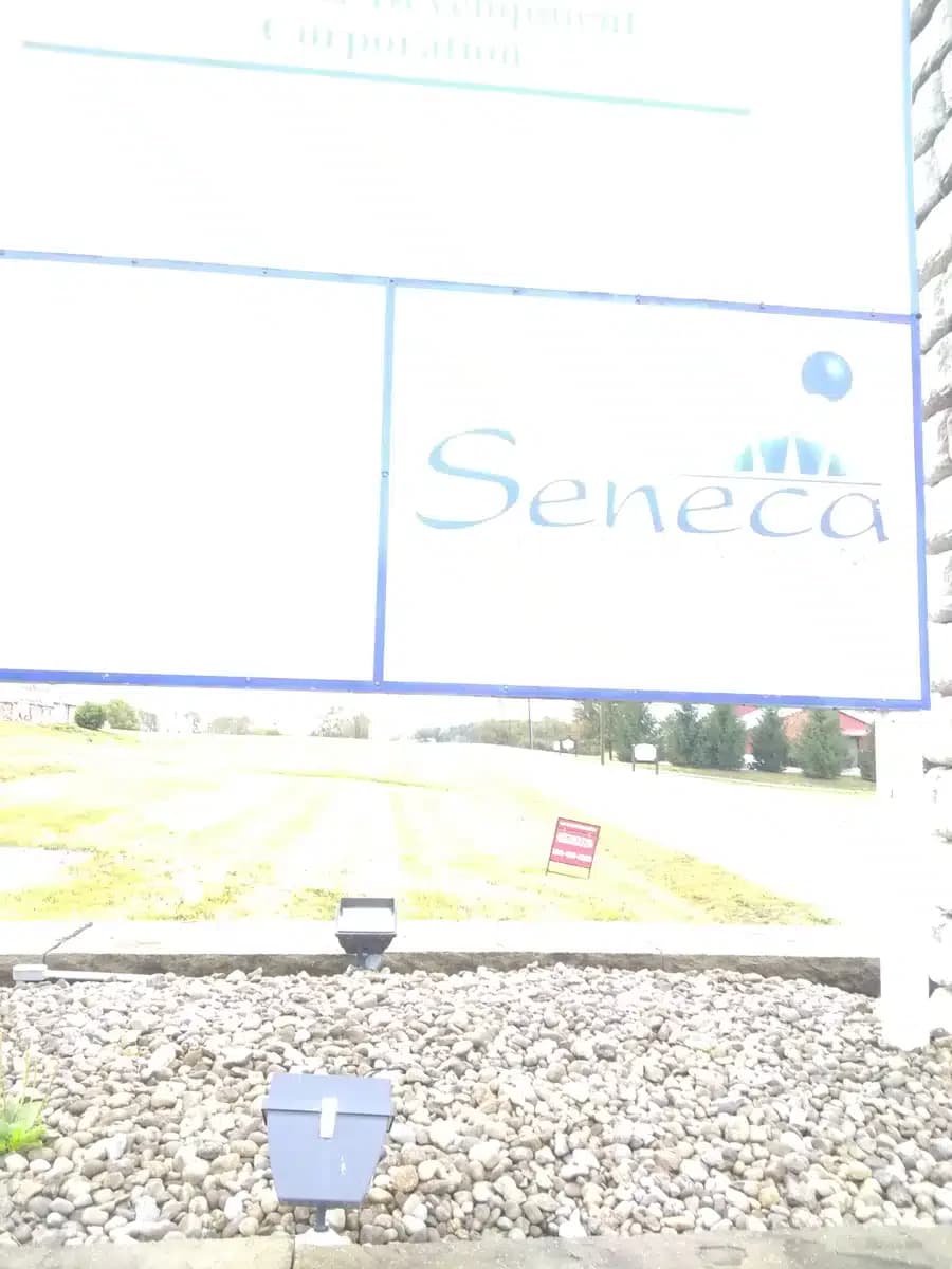 Seneca Health Services Inc - Thumbnail 4