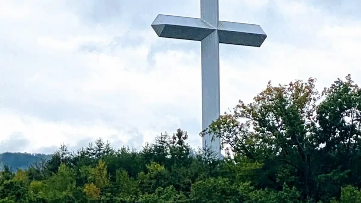 Shepherds Shelter/Ross Rehab - Thumbnail 8