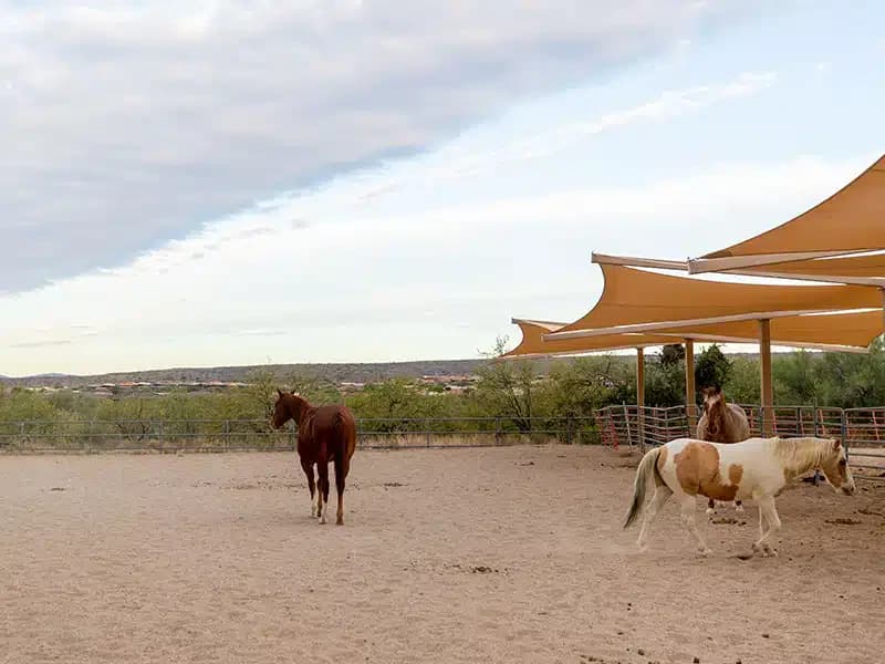 Sierra Tucson - Thumbnail 2