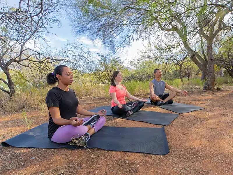 Sierra Tucson - Thumbnail 6