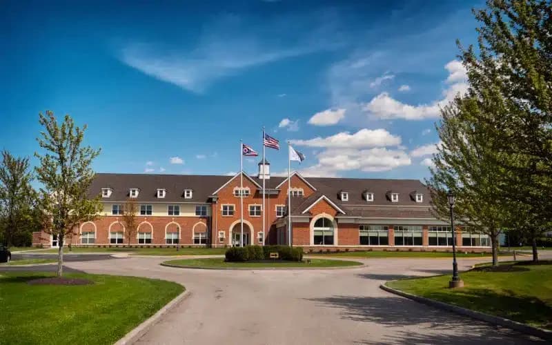 Silver Maple Recovery - Thumbnail 2